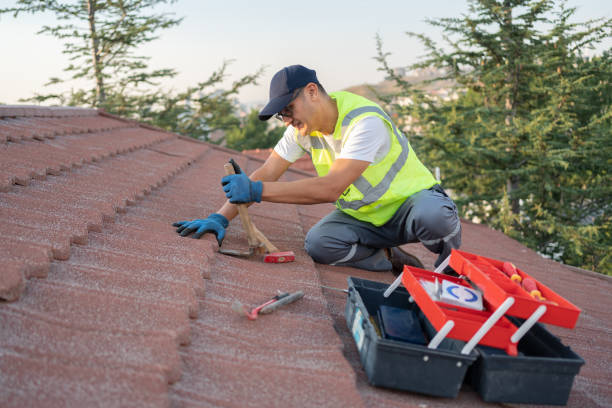 Best Roof Gutter Cleaning  in Woodfield, SC