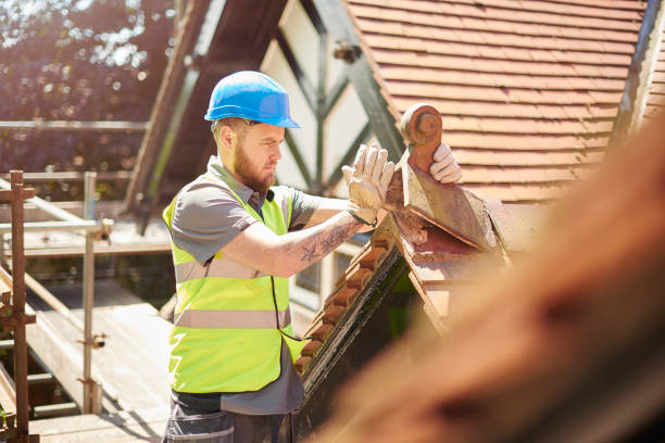 Best Roof Gutter Cleaning  in Woodfield, SC
