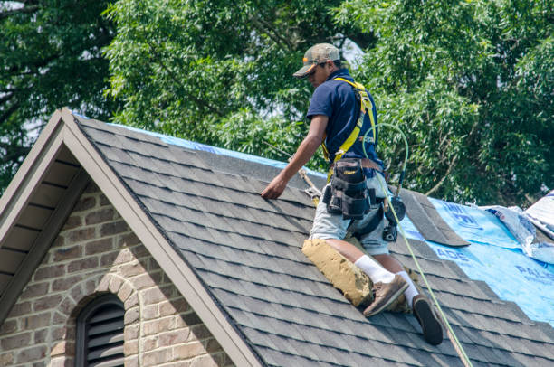 Best Gutter Installation and Roofing  in Woodfield, SC
